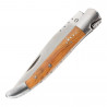 Coltello design piegato natura