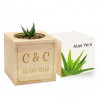 Ecocube Aloe vera personalizzato arabesque