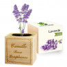 Lavanda arabesque personalizzata Ecocube