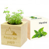 Menta Ecocube incisa