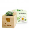 Ecocube marguerite inciso