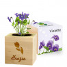 Ecocube viola inciso