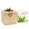 Ecocube aloe vera inciso